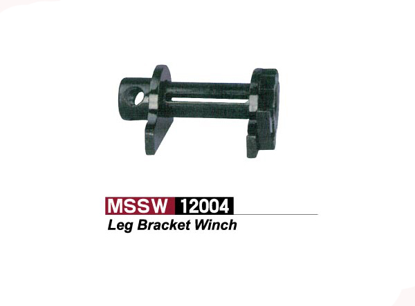 MSSW12004